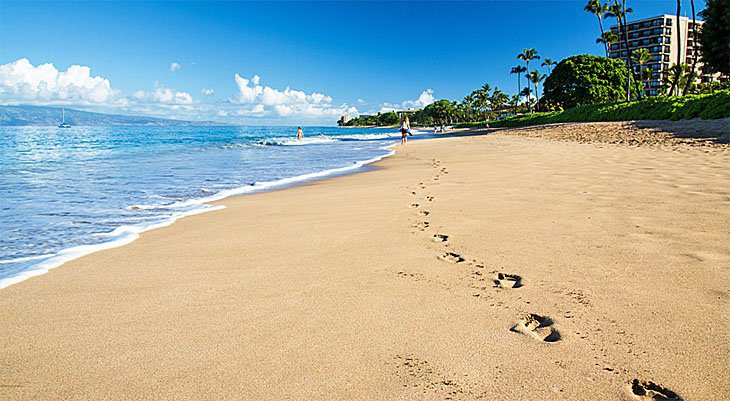 16 Top-Rated Beaches in Maui