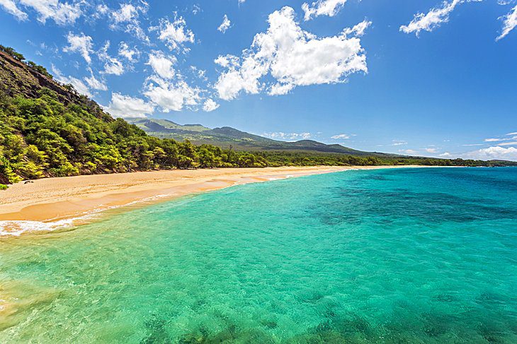 16 Top-Rated Beaches in Maui