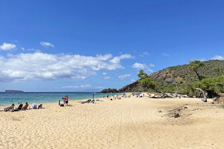 16 Top-Rated Beaches in Maui