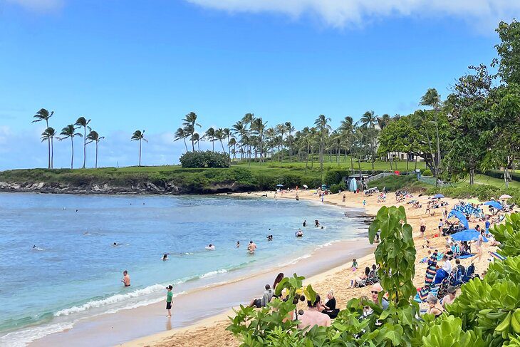 16 Top-Rated Beaches in Maui