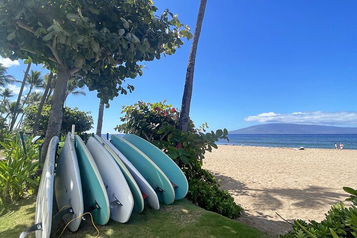 16 Top-Rated Beaches in Maui