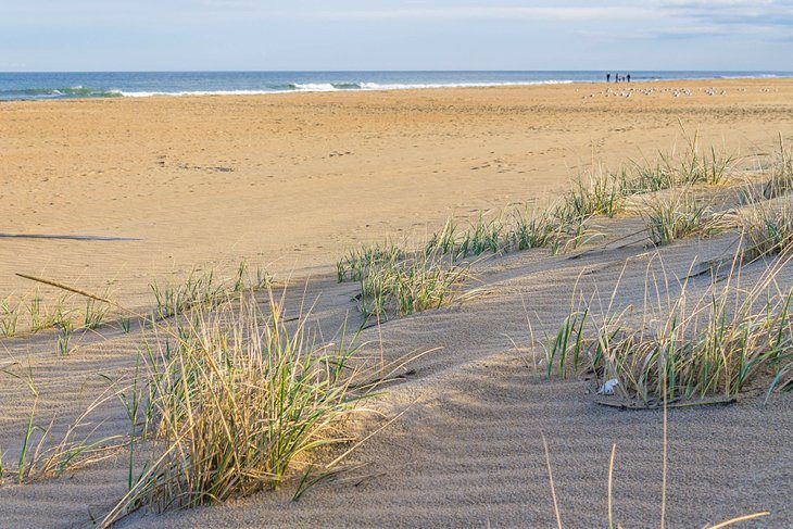 16 Top-Rated Beaches in Virginia