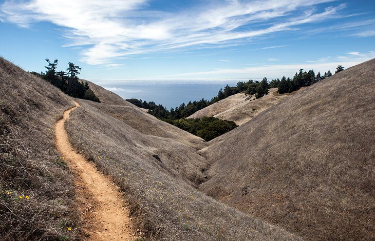 16 Top-Rated Day Trips from San Francisco