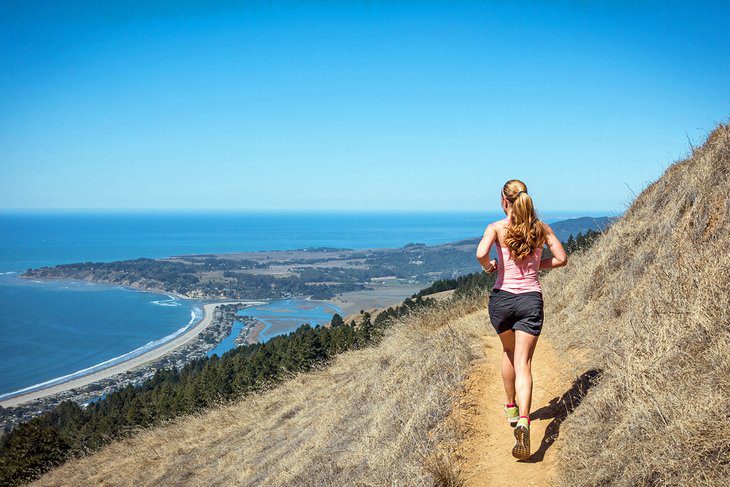 16 Top-Rated Day Trips from San Francisco