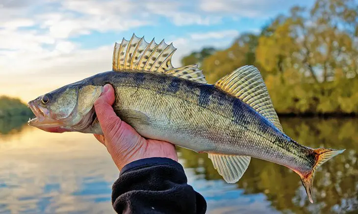 16 Top-Rated Fishing Lakes in Texas