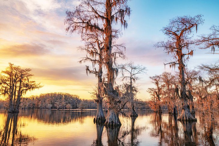 16 Top-Rated Fishing Lakes in Texas