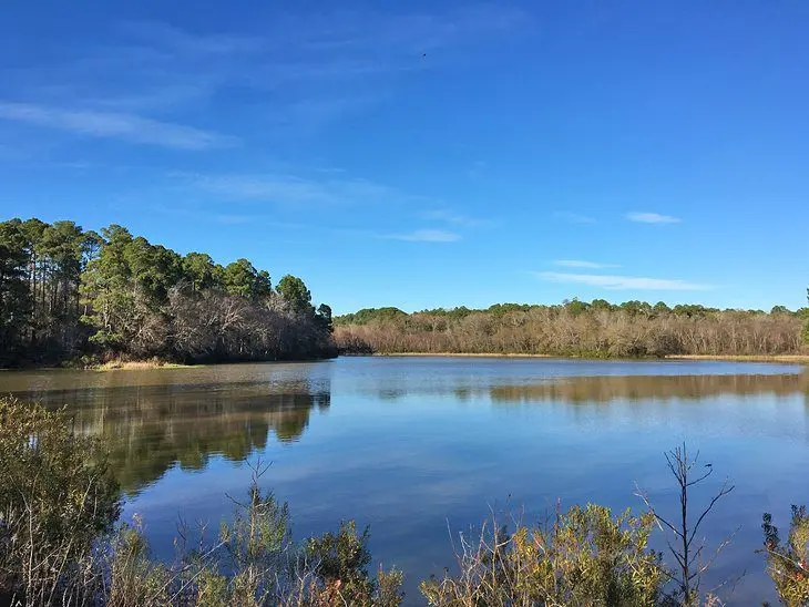 16 Top-Rated Fishing Lakes in Texas