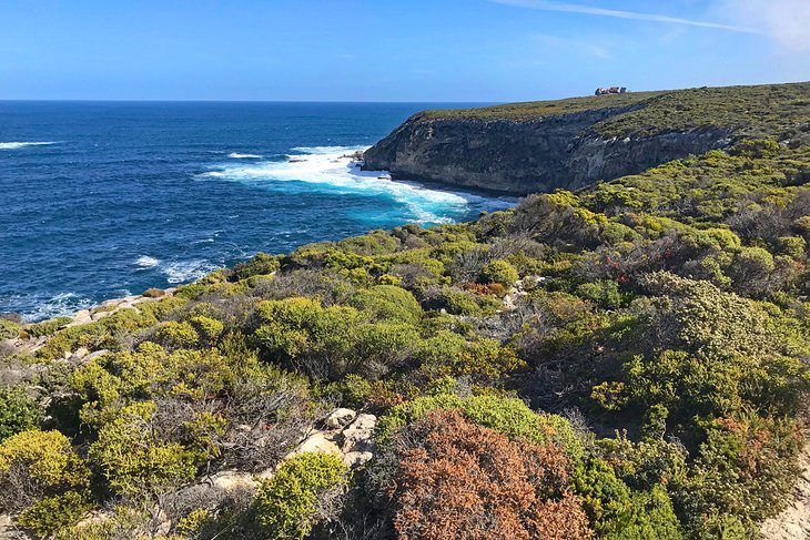 16 Top-Rated Hikes in Australia