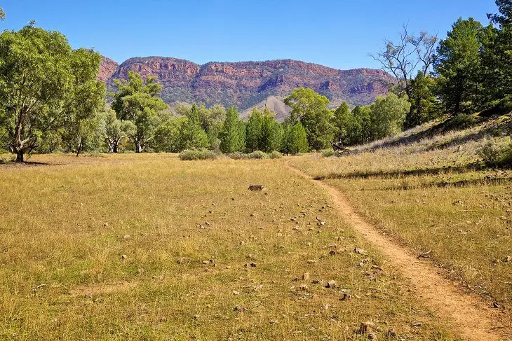 16 Top-Rated Hikes in Australia