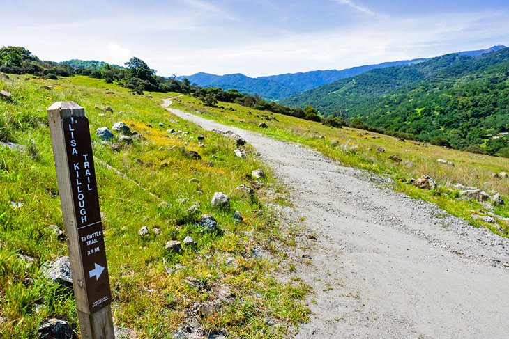 16 Top-Rated Hiking Trails near San Jose, CA