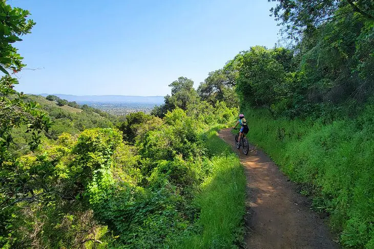 16 Top-Rated Hiking Trails near San Jose, CA