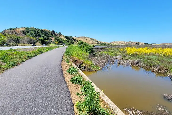 16 Top-Rated Hiking Trails near San Jose, CA