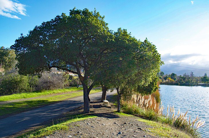 16 Top-Rated Hiking Trails near San Jose, CA