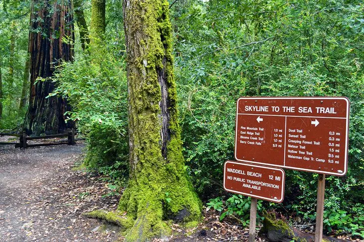 16 Top-Rated Hiking Trails near San Jose, CA