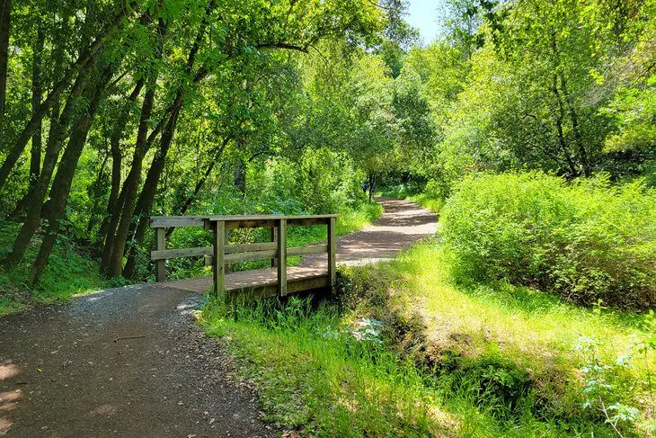 16 Top-Rated Hiking Trails near San Jose, CA