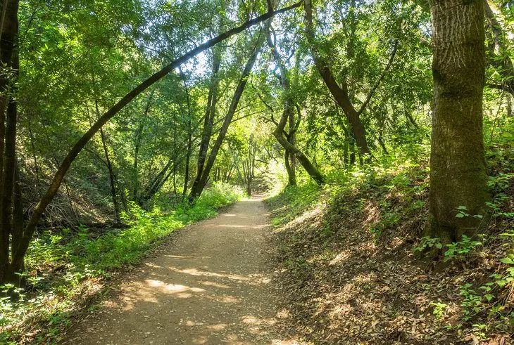 16 Top-Rated Hiking Trails near San Jose, CA