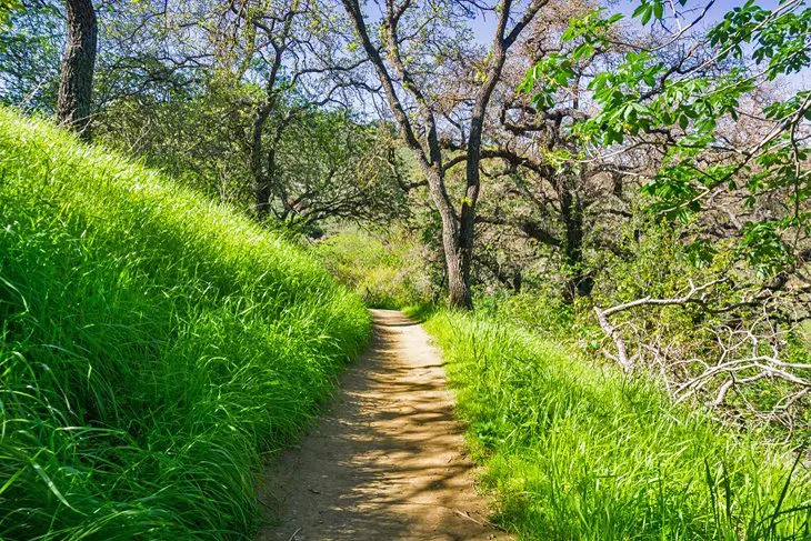 16 Top-Rated Hiking Trails near San Jose, CA