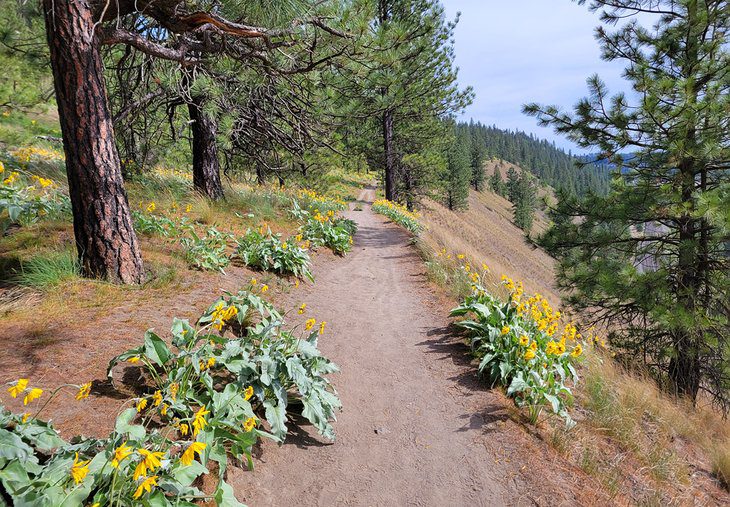 16 Top-Rated Hiking Trails near Spokane, WA