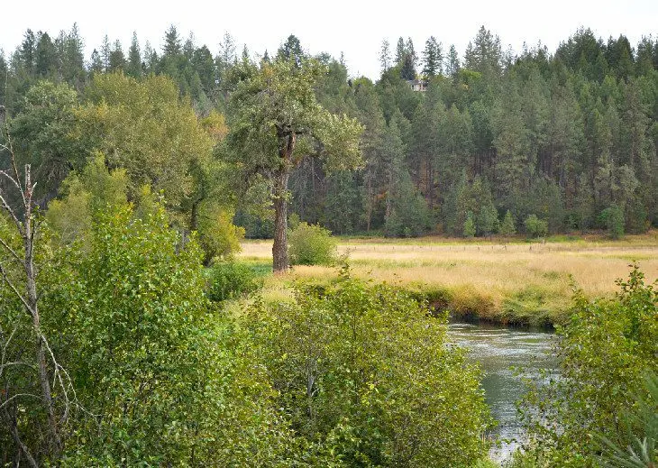 16 Top-Rated Hiking Trails near Spokane, WA