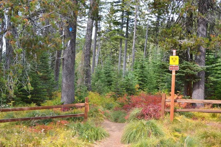 16 Top-Rated Hiking Trails near Spokane, WA