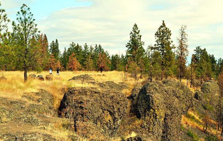 16 Top-Rated Hiking Trails near Spokane, WA