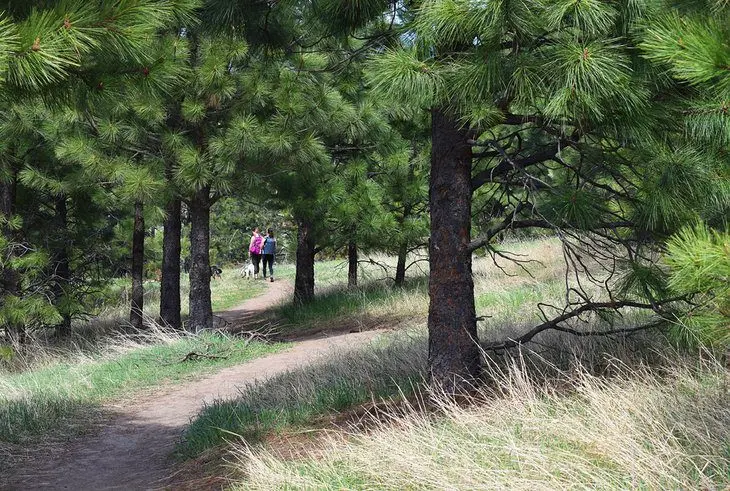 16 Top-Rated Hiking Trails near Spokane, WA