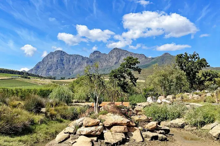 16 Top-Rated Places to Visit in South Africa