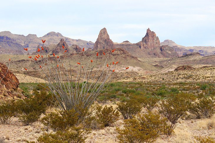 16 Top-Rated Things to Do in Big Bend National Park