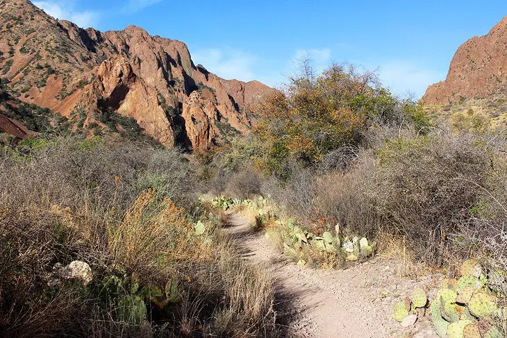 16 Top-Rated Things to Do in Big Bend National Park