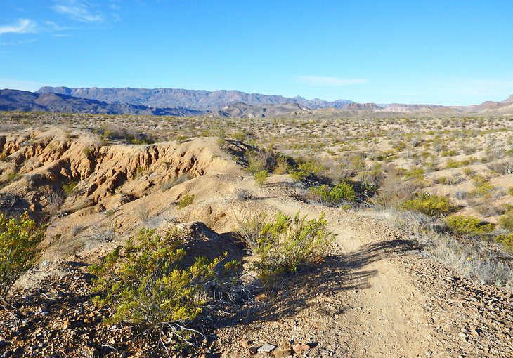 16 Top-Rated Things to Do in Big Bend Ranch State Park, TX