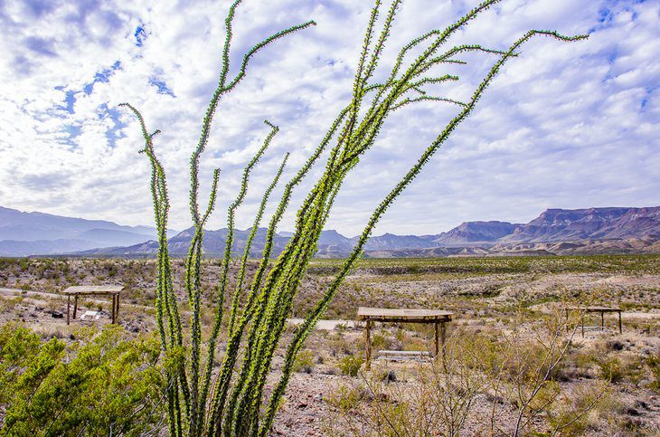 16 Top-Rated Things to Do in Big Bend Ranch State Park, TX