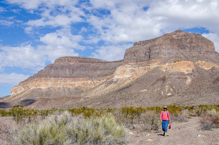 16 Top-Rated Things to Do in Big Bend Ranch State Park, TX