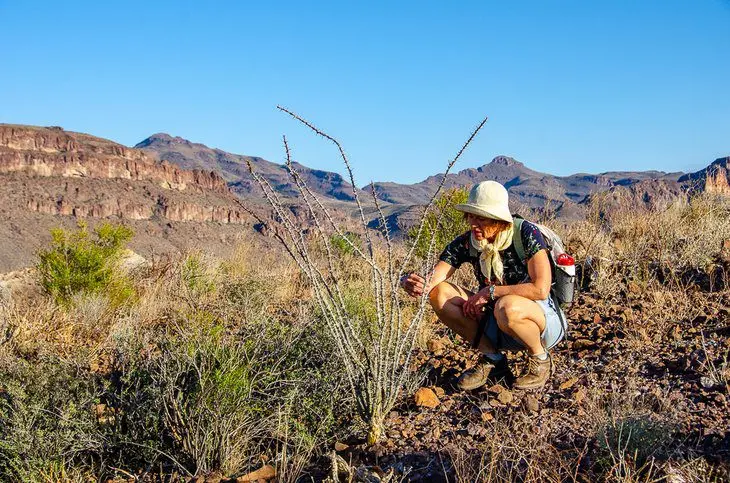 16 Top-Rated Things to Do in Big Bend Ranch State Park, TX