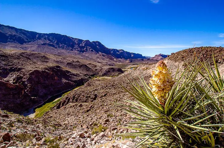 16 Top-Rated Things to Do in Big Bend Ranch State Park, TX