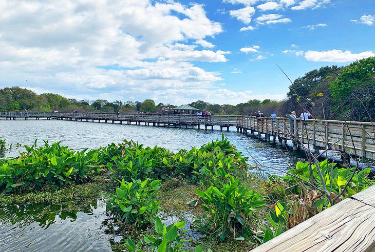 16 Top-Rated Things to Do in Boynton Beach, FL