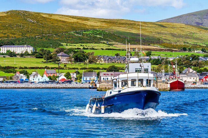 16 Top-Rated Things to Do in Dingle, Ireland