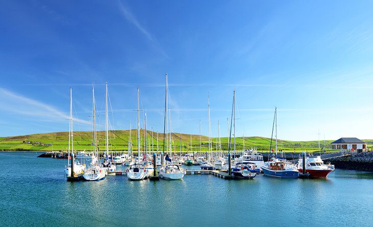 16 Top-Rated Things to Do in Dingle, Ireland