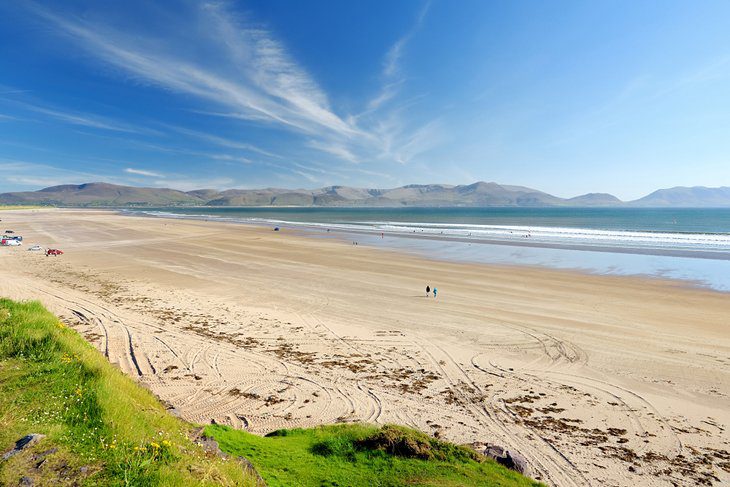 16 Top-Rated Things to Do in Dingle, Ireland