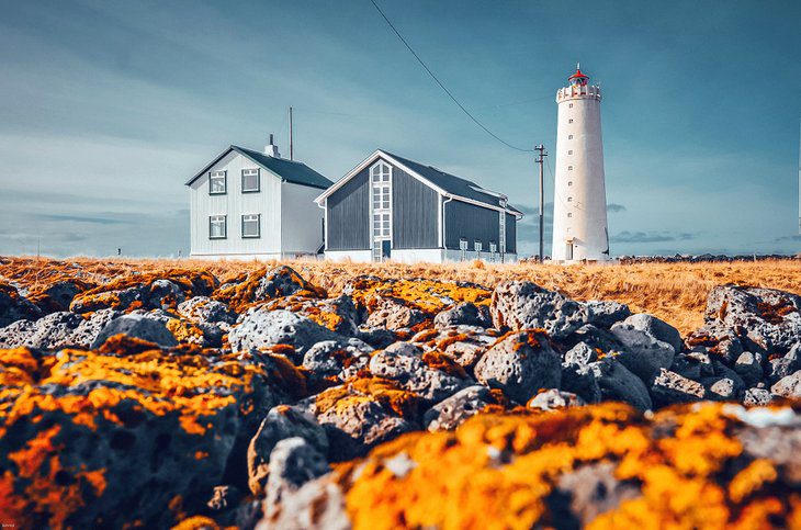 16 Top-Rated Things to Do in Reykjavik