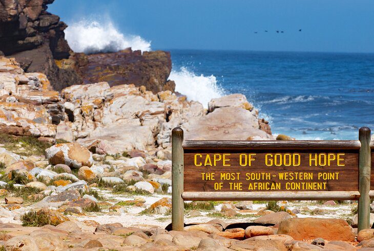 16 Top-Rated Things to Do in South Africa