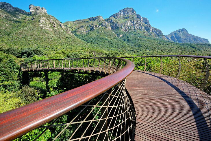 16 Top-Rated Things to Do in South Africa