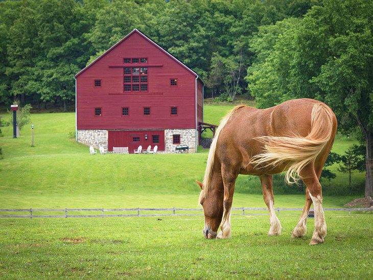 16 Top-Rated Things to Do in Upstate New York