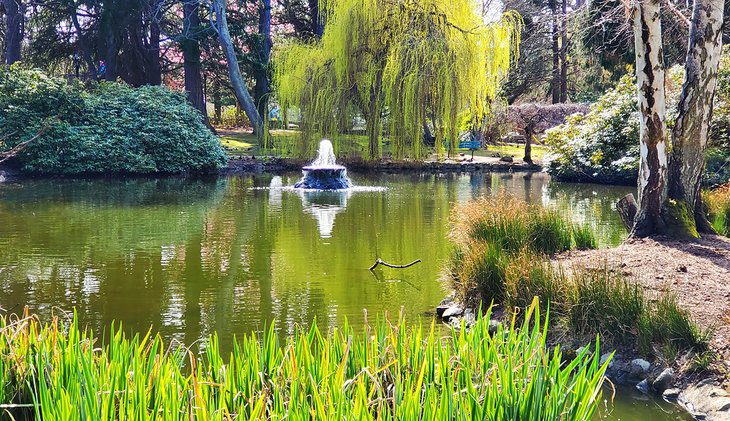 16 Top-Rated Things to Do in Victoria, BC