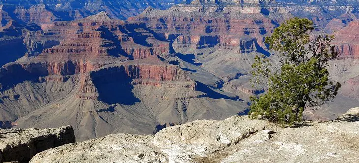 16 Top-Rated Tourist Attractions at the Grand Canyon