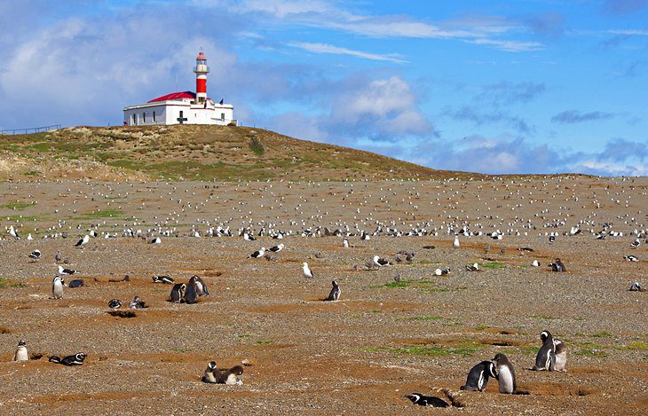 16 Top-Rated Tourist Attractions in Chile