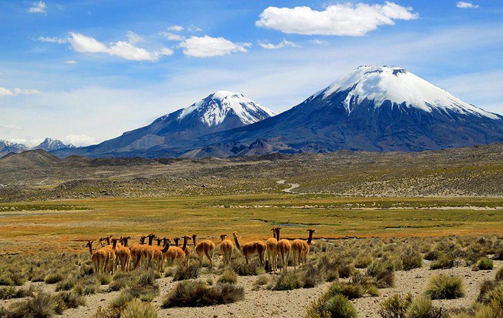 16 Top-Rated Tourist Attractions in Chile