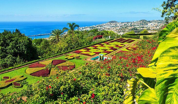 16 Top-Rated Tourist Attractions in Funchal