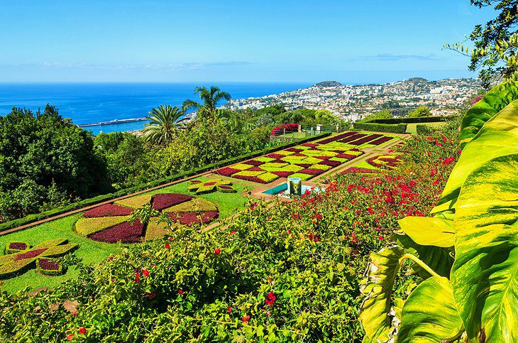 16 Top-Rated Tourist Attractions in Funchal