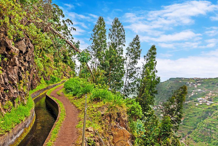 16 Top-Rated Tourist Attractions in Funchal