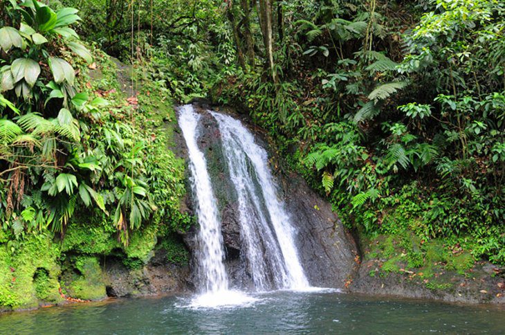 16 Top-Rated Tourist Attractions in Guadeloupe